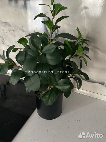 Искусственное дерево/куст Фикус