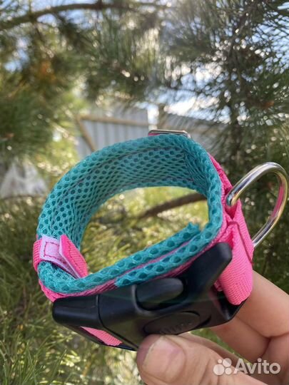 Амуниция для собак ручной работы