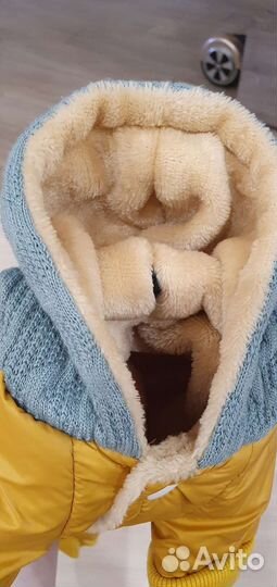 Одежда для собак мелких пород