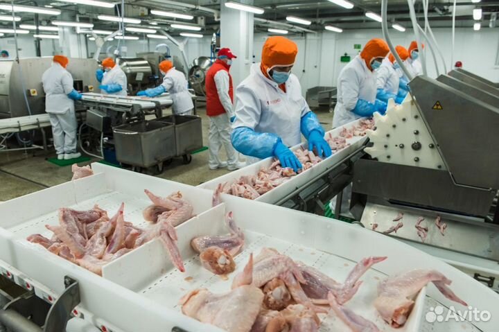 Работа с проживанием птицефабрика вахтовым методом