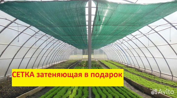 Теплица усиленная