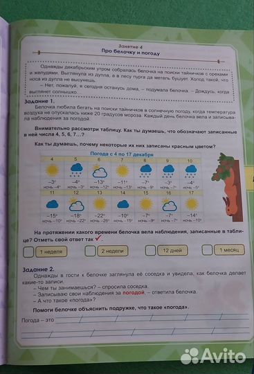 Тренажер по функциональной грамотности