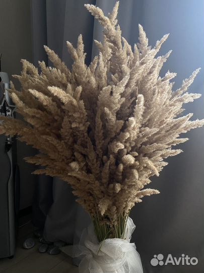 Букет из сухоцветов