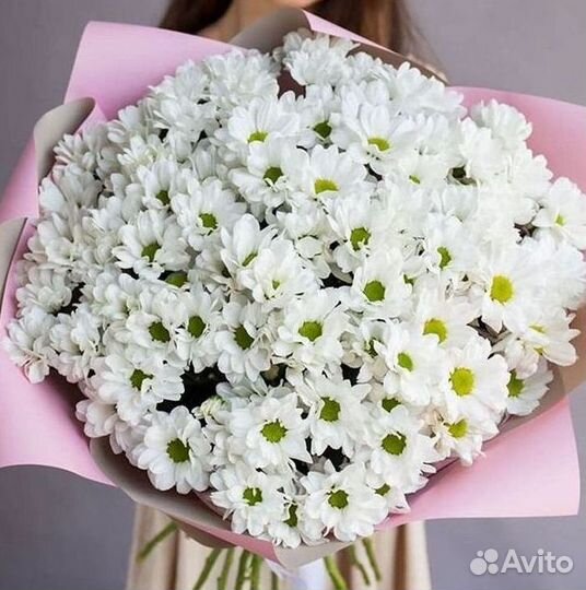 Хризантема Доставка цветов Букеты