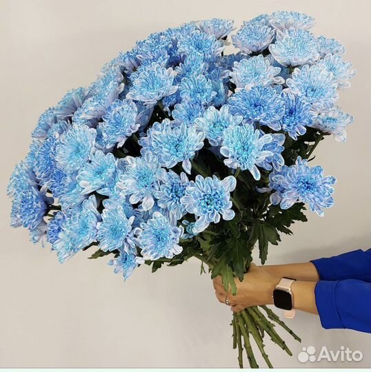 Хризантемы. Букеты. Цветы с Доставкой