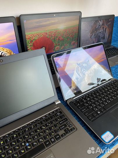 Игровой/премиальный для монтажа ноутбук Dell