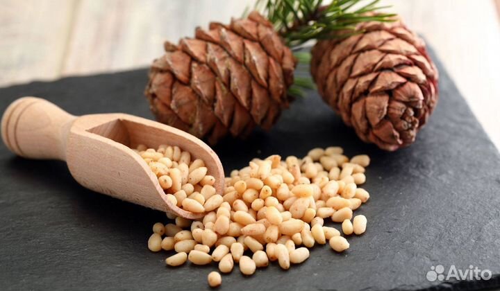 Кедровый орех