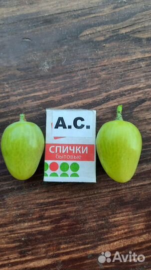 Саженцы винограда