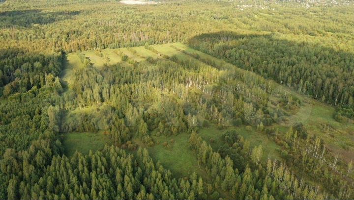 Участок 24 га (СНТ, ДНП)