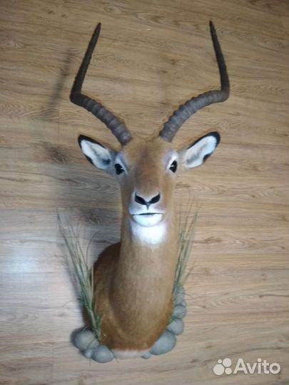 Импала - реплика из искусственного меха