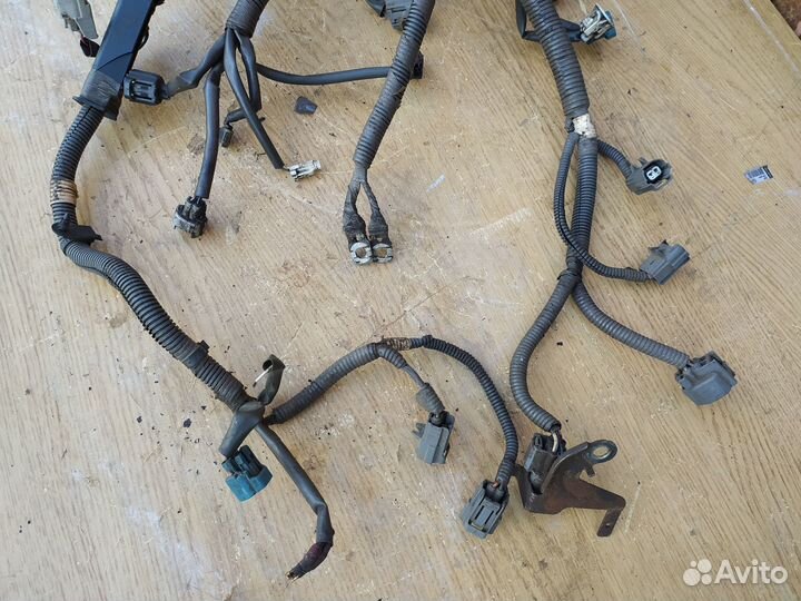 Subaru outback 2.5 проводка двигателя