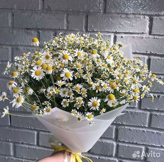 Доставка цветов. Ромашки