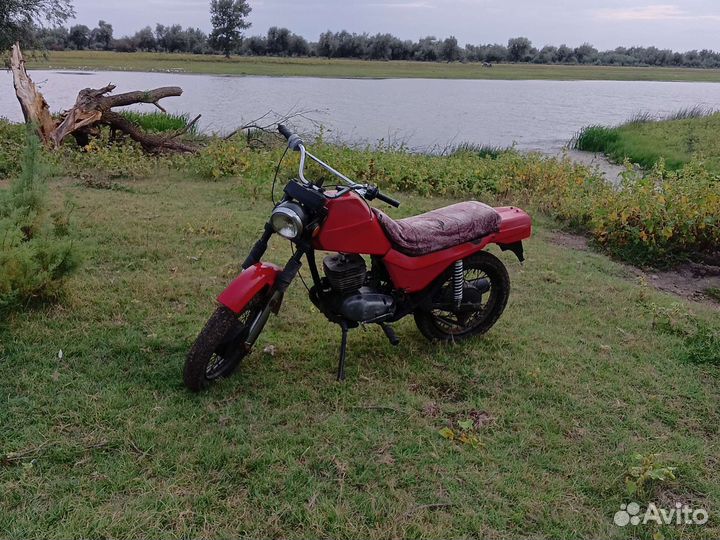 Продам сову