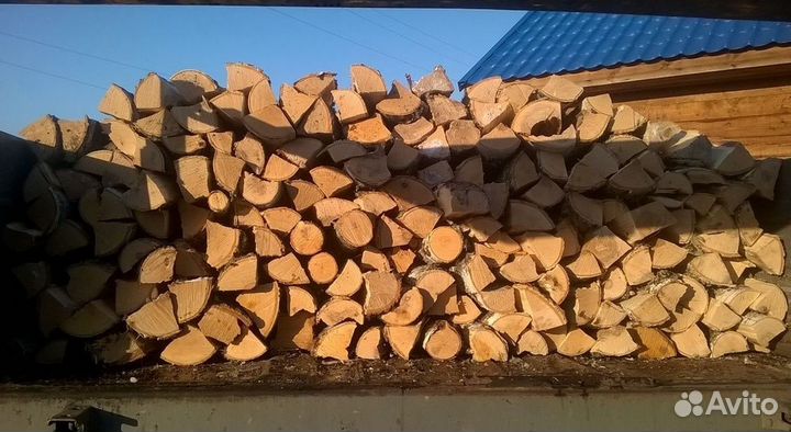 Дрова береза