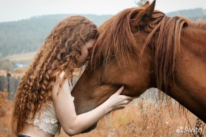 Прогулки на лошадях (остров за ингодой)