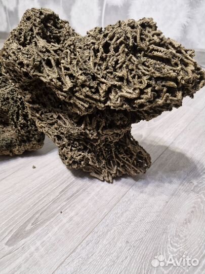 Декор для аквариума, коралл