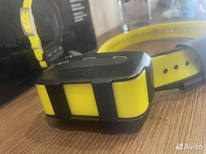 Ошейник garmin t5 US