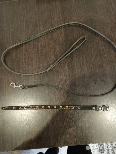 Ошейник и поводок