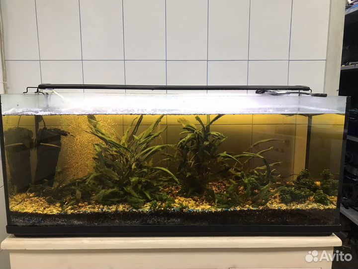 Аквариум