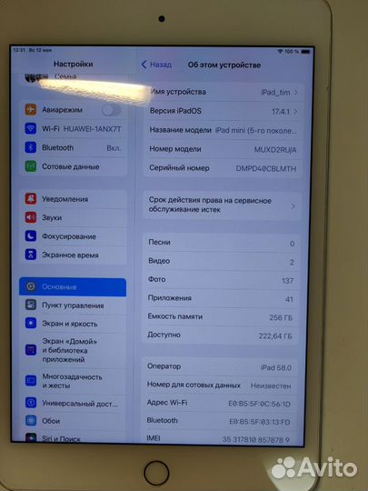 iPad mini 5 256gb cellular