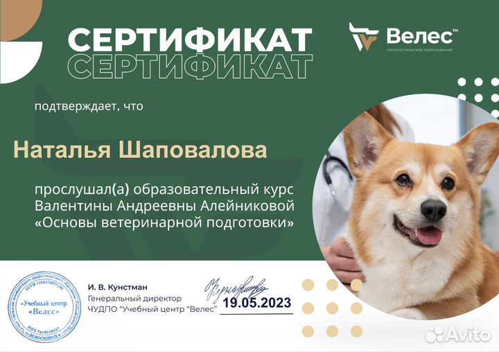 Частный кинолог