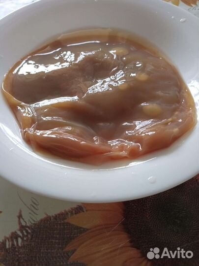 Чайный гриб