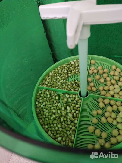 Проращиватель семян и микрозелени