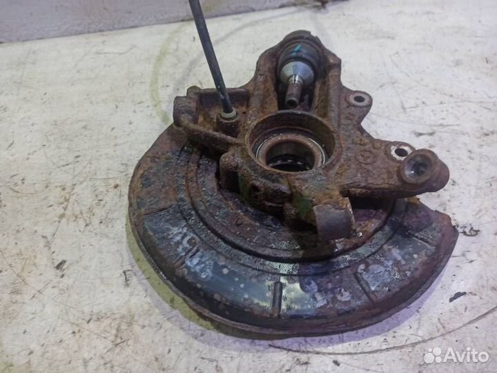 Кулак задний правый