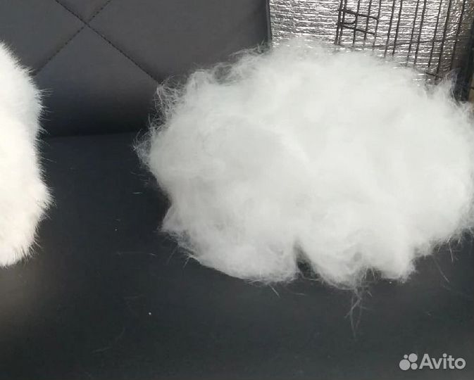 Шерсть кошек