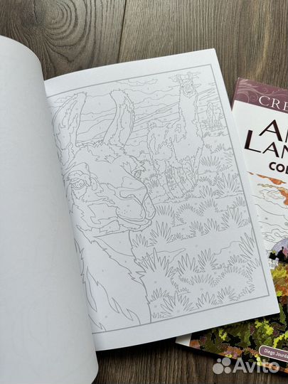Раскраски по номерам creative haven