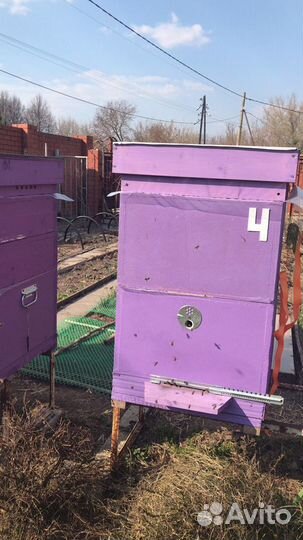 Мёд прямо с собственной пасеки