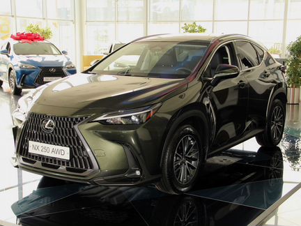 Lexus NX 2.5 AT, 2023