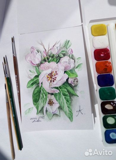 Акварельные цветы. Весна. Цветущая айва