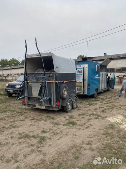 Конеперевозки 5 голов, коневоз, лошади, крс