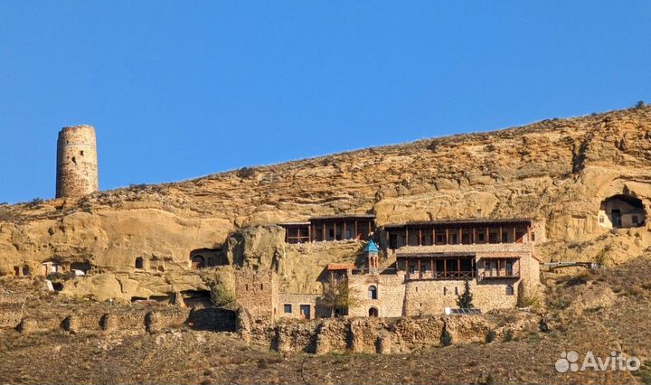 Тбилиси Топ-Экскурсия Грузинское сафари в мини-гру