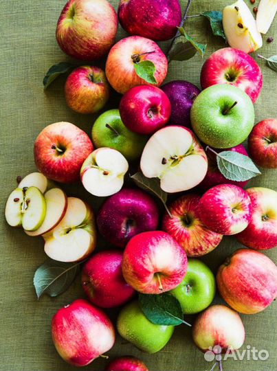 Разнорабочие на сбор яблок(вахта) оплата ежедневно