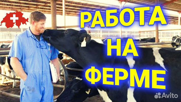 Доярка дояр