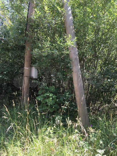 Участок 20 сот. (ИЖС)