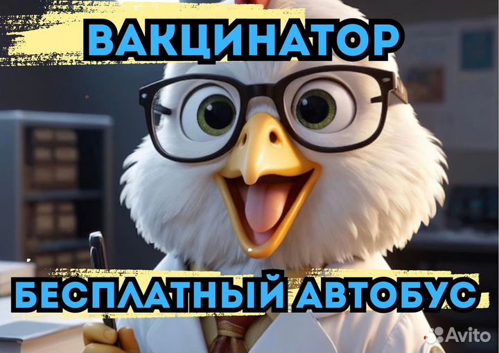 Вахта с бесплатным проездом,вакцинатор, м/ж