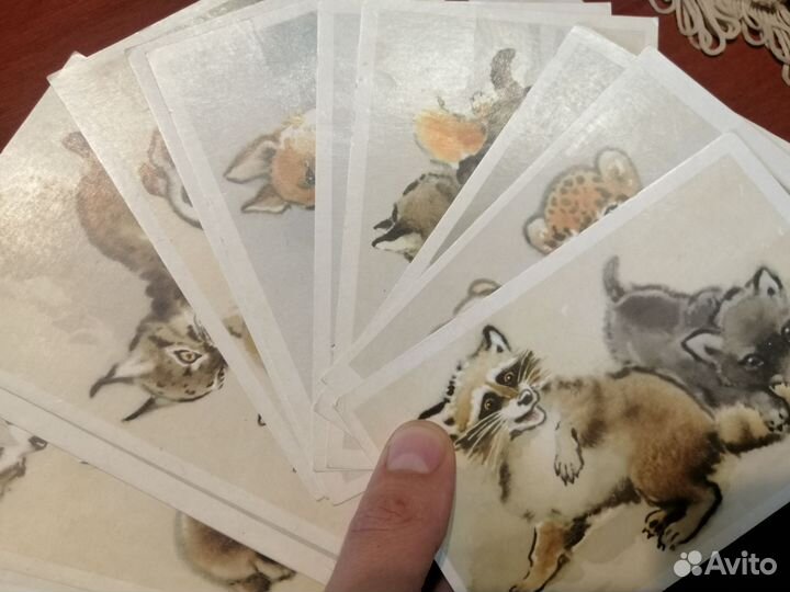 Открытки СССР