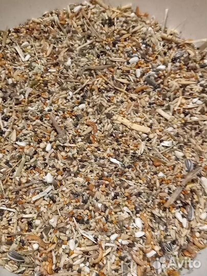 Корм для хомяков, мешанина для хомяка