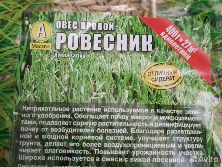 Овёс яровой