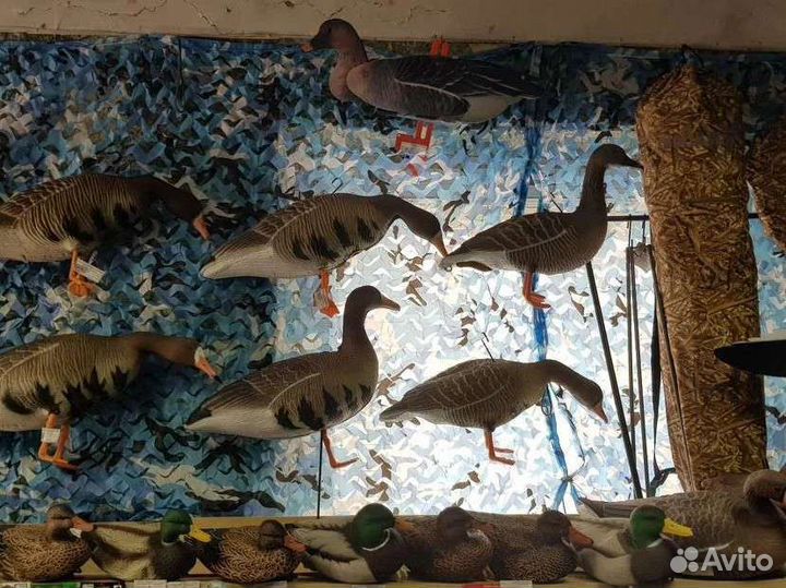 Чучела(муляжи) уток, гусей, голубей. леший, кикимо
