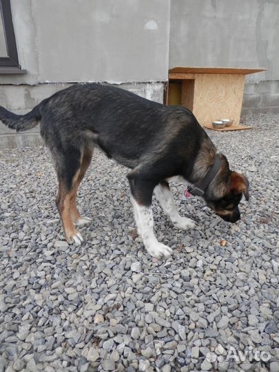 Помогите найти