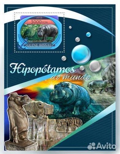 Гвинея-Биссау, 2016. (gb16809) Фауна, гиппопотамы
