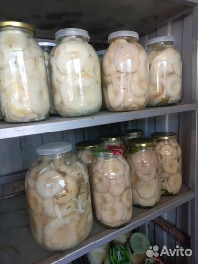 Грузди соленые