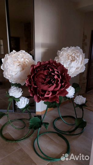 Ростовые цветы, продажа