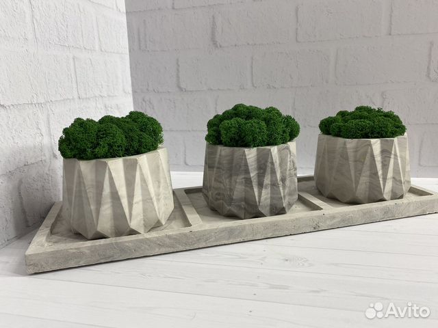 Гипсовое кашпо со стабилизированным мхом 