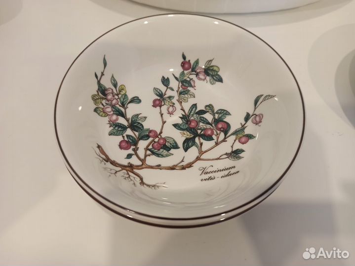 Villeroy Boch Botanica Ботаника