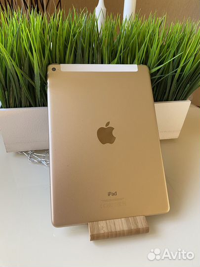 iPad AIR 2 cellular Ростест+Pencil